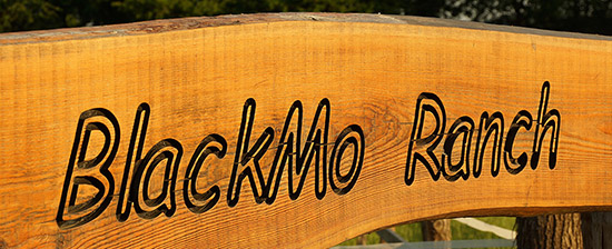 BlackMo Ranch in Melle